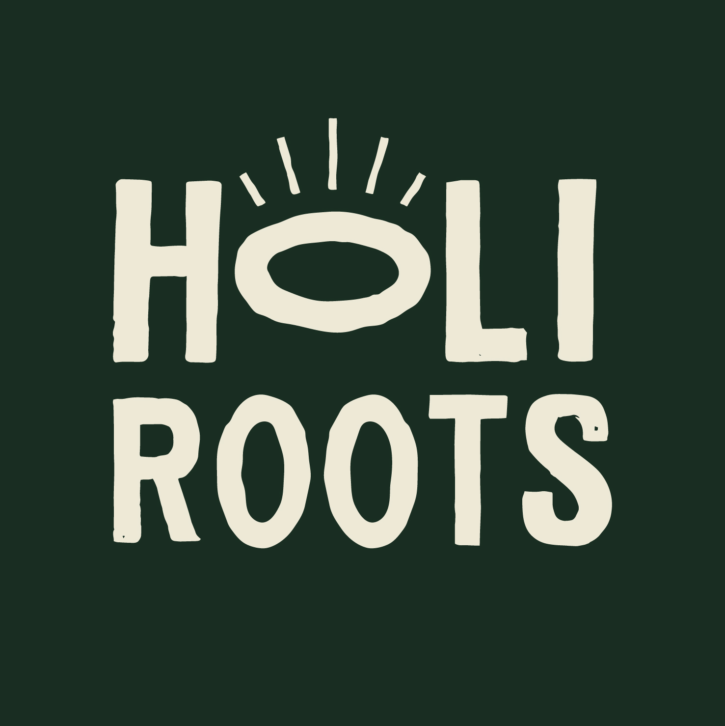 Holiroots- Bio Gemüsecracker