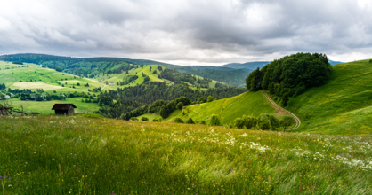 Natur-Panoramablick im Hochschwarzwald.