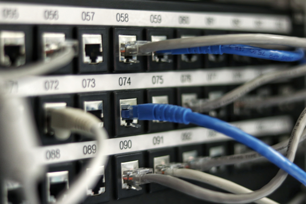 Blaue und weiße Netzwerkkabel in einem Serverschrank.