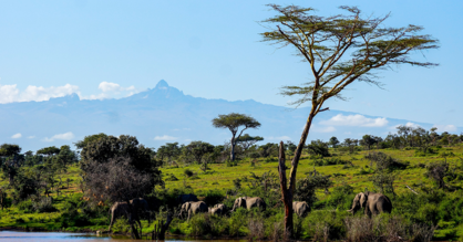Afrikanische Landschaft mit Elefantenherde.