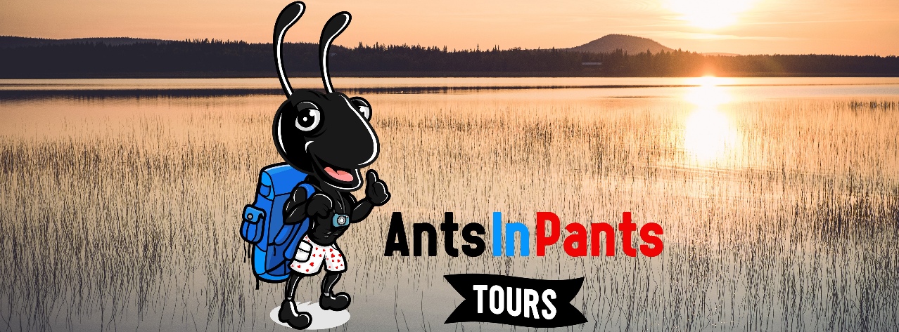 AntsInPants Tours