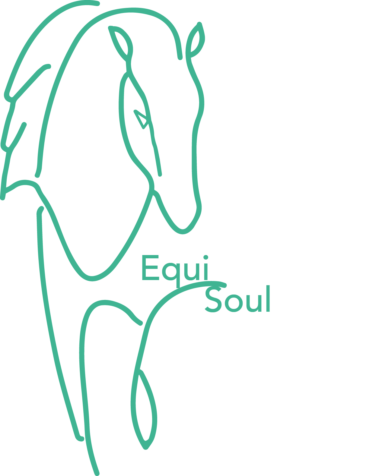 EquiSoul Coaching